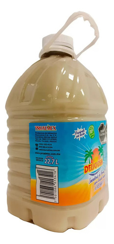 Concentrado De Arroz Con Sabor A Horchata De 3.7l