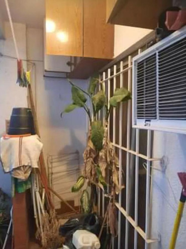 Imagen 7 de 24 de Departamento - Palermo