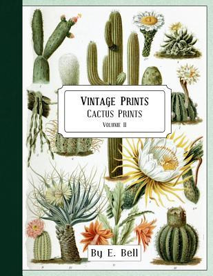 Libro Vintage Prints : Cactus Prints - E Bell