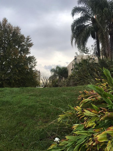 Imagen 6 de 27 de Lote Al Rio En Venta En Santa Maria De Tigre