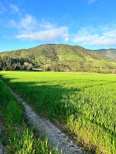 Excelente Ubicación Terreno Agrícola Melipilla