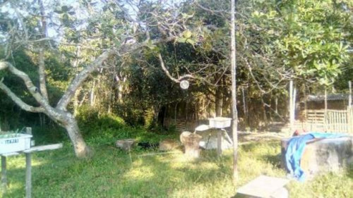 Imagem 8 de 13 de Chácara Com 54 Mil M², Com 1 Dormitório Em Itanhaém/sp