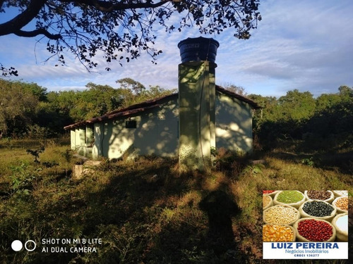 Imagem 14 de 15 de Fazenda Em Divinópolis - To - 136 Alqueirões (pecuária) - 1382