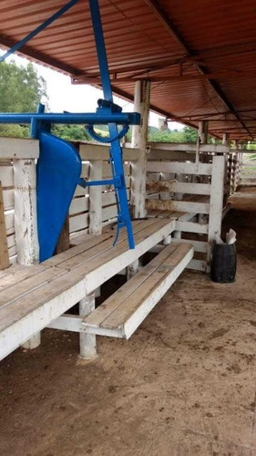 57 Alqueires Muzambinho Mg Porteira Fechada 5,000,000,00 - 39124