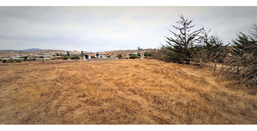 En Venta Terreno Plano, Comercial, De 8.057 M2., En Tabolan