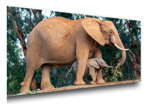 X Diy Diamond Painting 5d 80x40 Cm - Elephant Baby