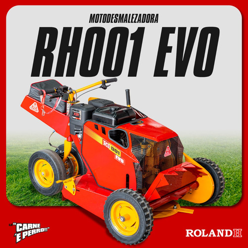 Motochirquera Para Césped Rh Evo C/ Motor B&s 13hp Eléctrico