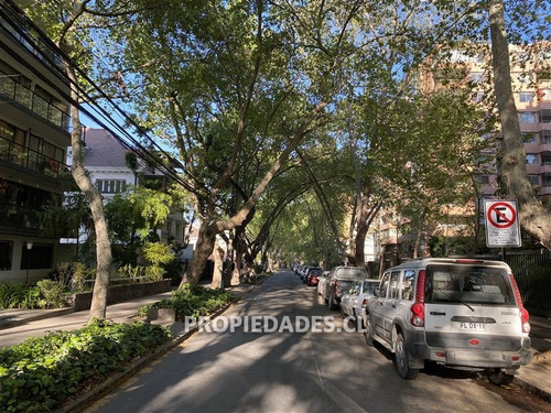 Imagen 5 de 6 de Sitio En Venta En Lyon / P. De Valdvia