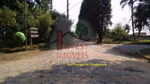 Imagem 3 de 7 de Terreno - Ref: 1312 - V-1312