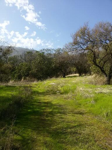 Proyecto Reserva Ecológica Oasis De La Campana | La Calera