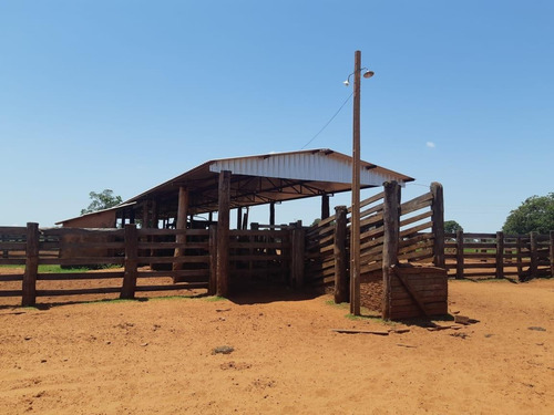 Imagem 5 de 11 de Fazenda Para Venda Em Santa Rita Do Pardo, Rural - Fazgu 315_1-1947859