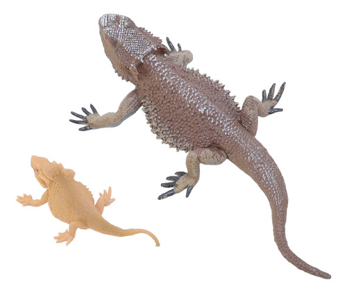 Lizard Life Cycle Model Figurine Toy Educational Interactive