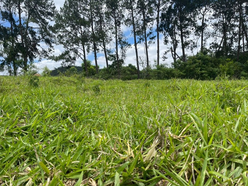 Imagem 16 de 24 de M01- Oportunidade De Ter Sua Casa No Campo
