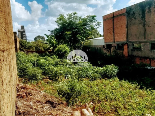 Imagem 1 de 2 de Terreno À Venda, Parque São Paulo - Cascavel/pr - 11485