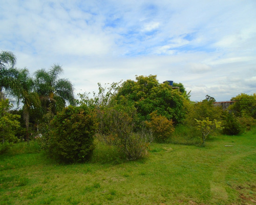 Imagem 2 de 2 de Terreno - Te00996 - 33676006