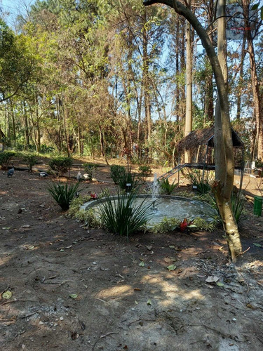 Imagem 3 de 30 de Apartamento À Venda Com 2 Dormitórios, Sendo 1 Suíte Na Vila Mendes Próximo A Estação Vila Tolstoi - Tc1617