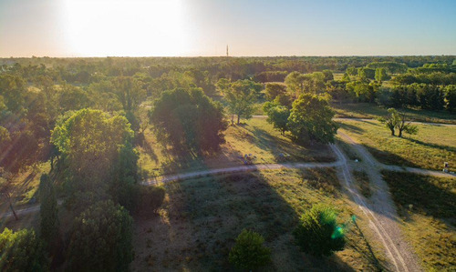 Imagen 7 de 21 de Lote En Venta Azzurra Tortugas
