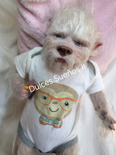 Bebé Reborn Kit De Fantasía Lobo $1800 Pesos!! (Usado)