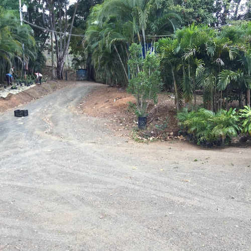 Imagen 8 de 30 de Parcela Con Bienhechurías En San Juan De Los Morros, Guárico