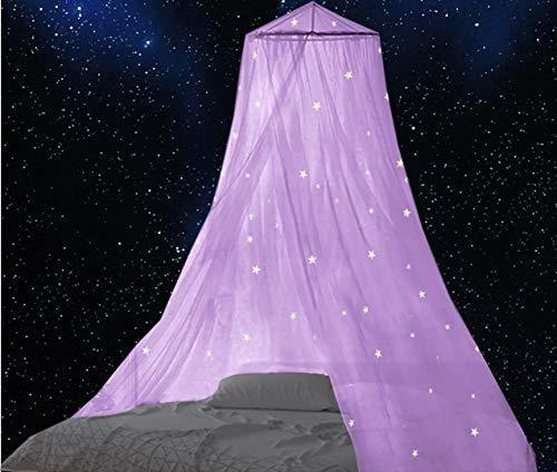 Bcbyou Cama De Mosquitero Con Estrellas Fluorescentes Zgjfr