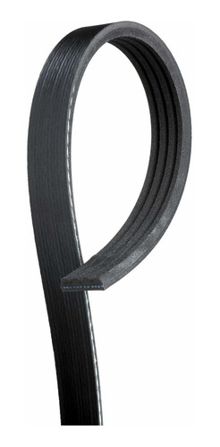 Cinturon Serpentino Acanalado V Color Negro