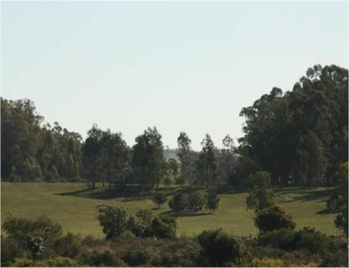 Quinta En Venta En Jose Ignacio