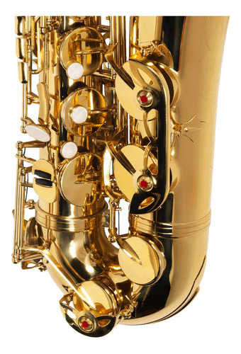 Saxofone Sax Tenor Michael Wtsm30n