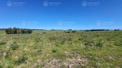 Venta Chacra Jose Ignacio Con Costa Arroyo Anastasio