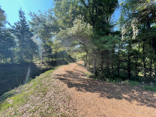 Terreno Residencial En Venta En Catalina