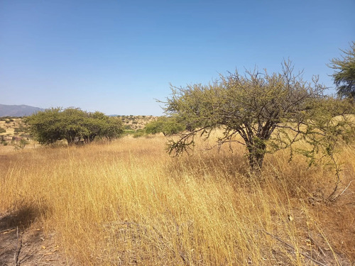 Oportunidad Parcela En Peralillo 5000 M2