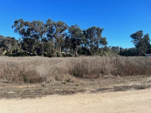 Sitio En Venta En Zapallar