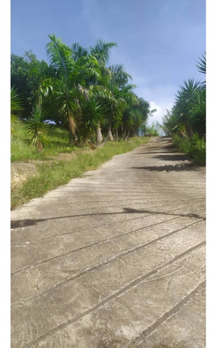 Vendo Casa 100 M2 1h/1b/10p Bosque De La La Lagunita
