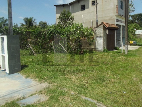 Imagem 5 de 29 de Terreno - Te00036 - 32363943