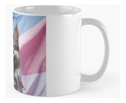 Taza Imagen De Gato Realista De Bandera Del Orgullo Transgén