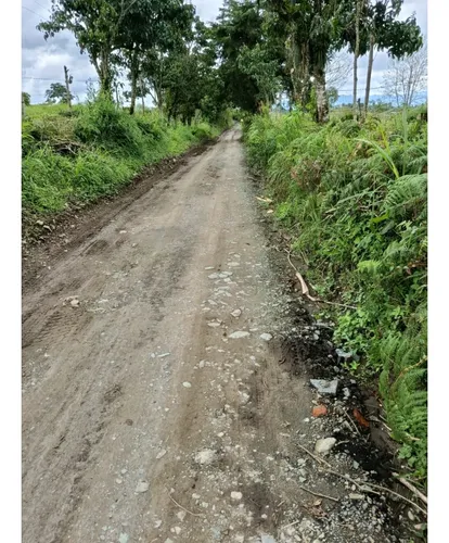 Venta Finca Filandia A Borde De Carretera - 20 Cuadras