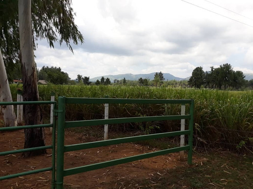 Imagen 20 de 27 de Finca En Venta En La Raya San Timoteo, Zulia
