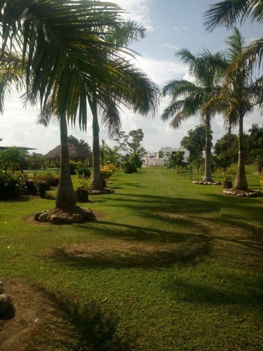 Imagen 4 de 11 de Residencial Terreno En Venta