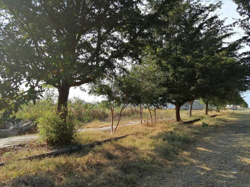 Imagen 3 de 9 de Terrenos Habitacionales En Venta En Fraccionamiento San Rafael Cuauhtémoc Colima