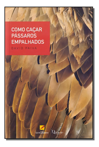 Como Caçar Pássaros Empalhados, De Paiva, David. Editora Letramento Editora Em Português