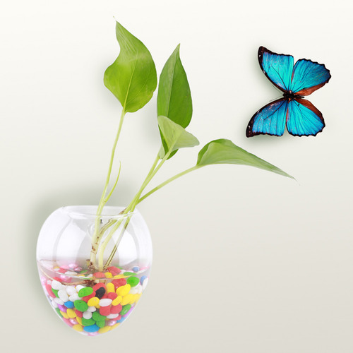 Acuario Hidropónico De Pared Con Plantas Colgantes, Flores,