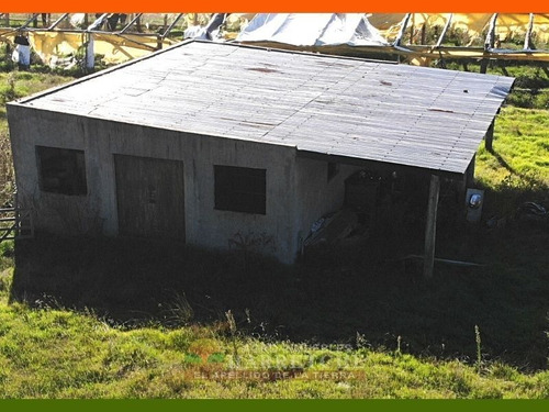 Chacra 10 Has En Venta - Monoambiente En Sauce