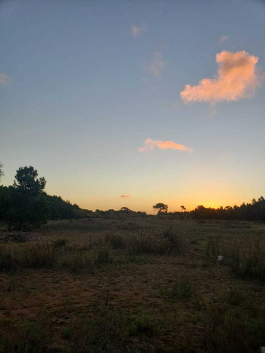 Imagen 6 de 15 de Venta 6 Hectáreas La Lucila Del Mar Loteo Campo Terreno