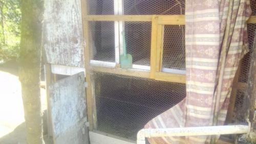 Imagem 5 de 6 de Chácara Litoral Sul Ideal P/ Pesqueiro- Ref.6128/dz