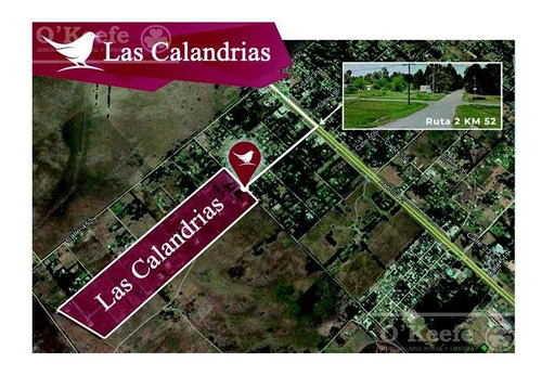 Imagen 5 de 17 de Lote En Venta Coronel Brandsen - Amplios Lotes Oportunidad !!!