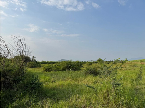Macrolote En Venta A Bordo De Carretera Jojutla Galeana
