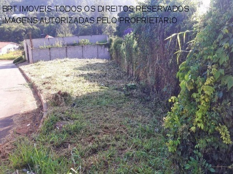 Imagem 3 de 4 de Terreno - Te00081 - 4718902