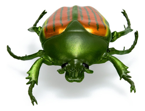 Hex Bots Nano Real Bugs, 5 Insectos Falsos, Mini Robots Nano Bugs Multicolor