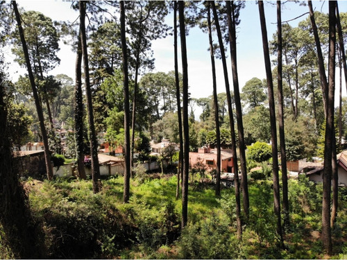 Terreno En Venta, Zona Avandaro