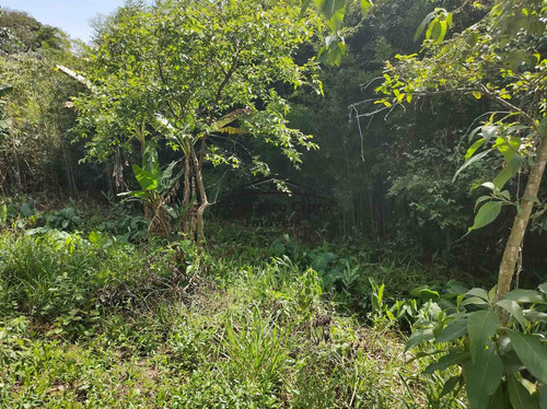 Imagem 27 de 28 de Terreno À Venda No Bairro Pilões - Guaratinguetá/sp - Tr009