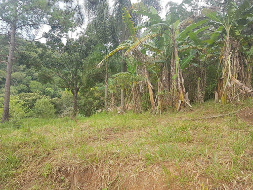 Imagem 12 de 14 de Terreno, Centro, Pirapora Do Bom Jesus - R$ 1.200.000,00, 430m² - Codigo: 234967 - V234967